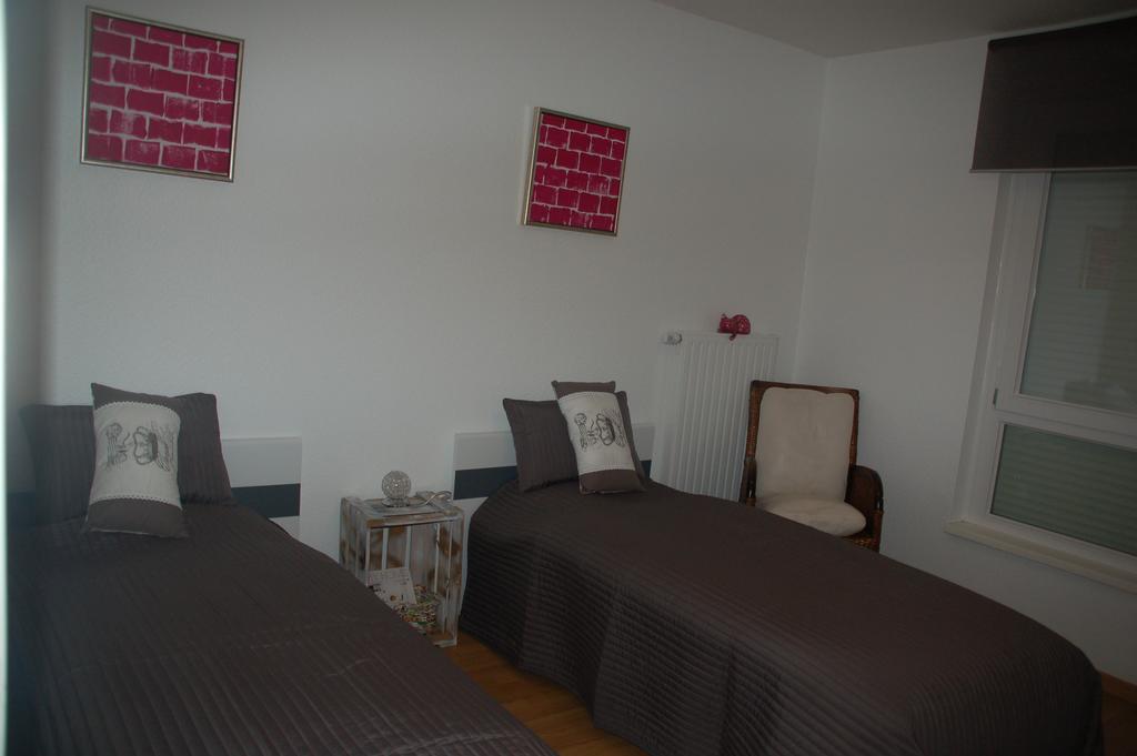 Rosys Appartement 斯特拉斯堡 外观 照片